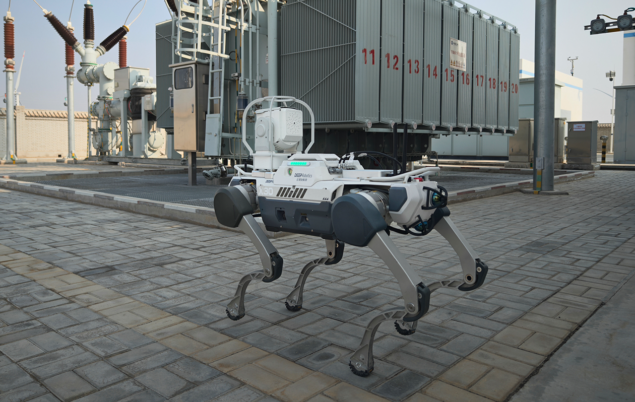 1748569184243514.png 1250x8004225.png